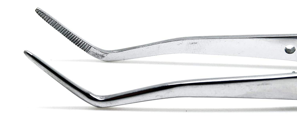 #317 College Cotton and Dressing Pliers with 6" Regular Serrated