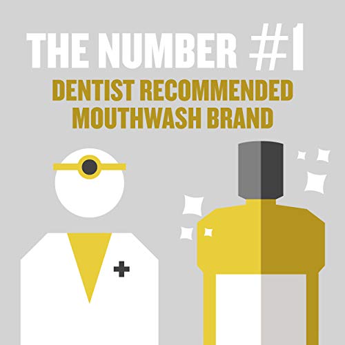 Listerine | Listerine Original Antiseptic Oral Care Mouthwash, 250 mL/ 8.5 fl. oz | 20509-1