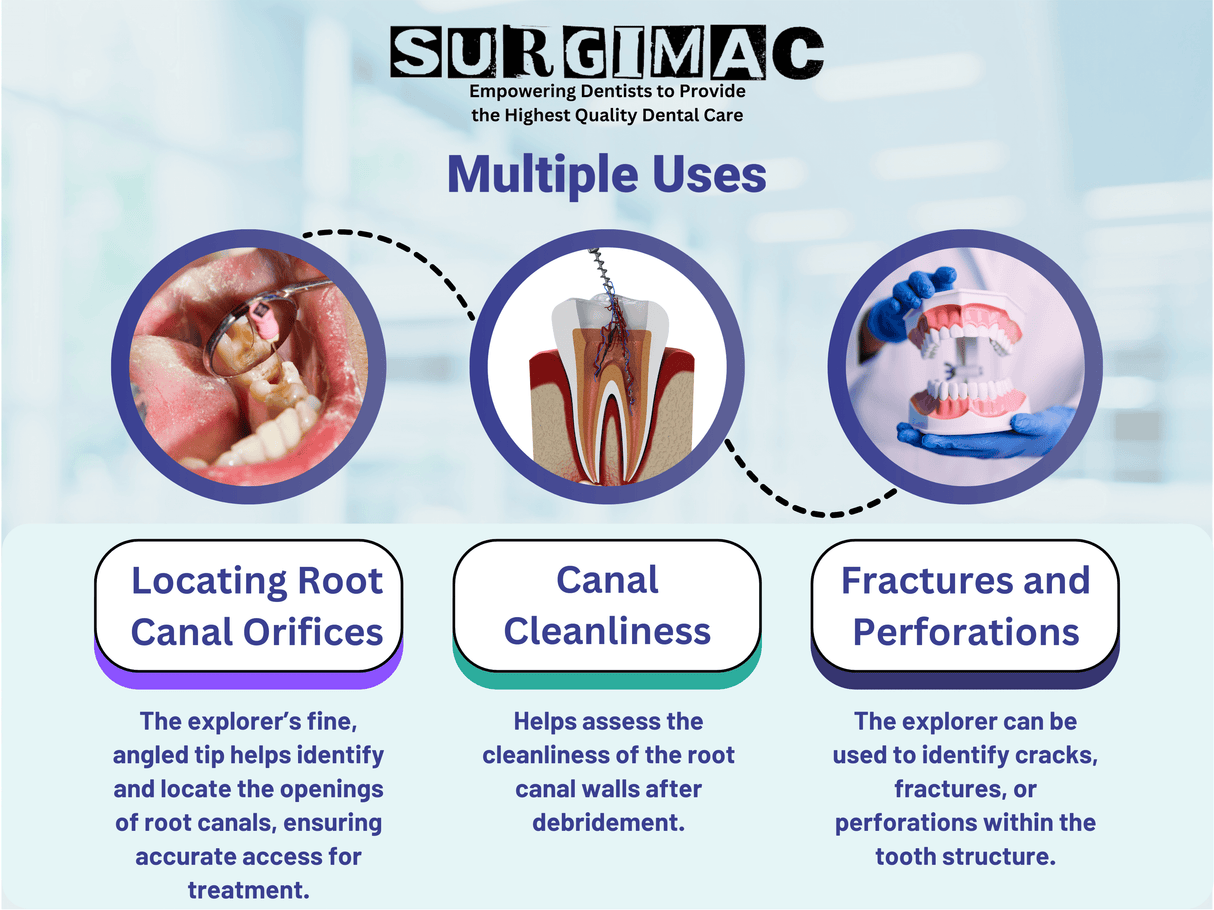 General Endodontic Explorer, Double-Ended, Stainless Steel, Pro Series, 1/Pk