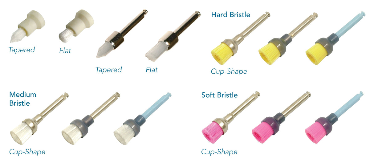 Pac-Dent | Latch type cup shape brush, Soft red bristles - premium quality | 645-144