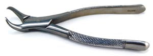 Forceps, #23-Cowhorn, Lower QF23