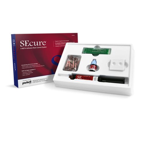 Parkell | SEcure Resin Cement System - Translucent Shade | S270