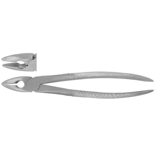 SurgiMac | Extracting forceps # MD1 Universal Extracting Forceps for Upper, Central, Lateral Cuspid by SurgiMac | 12-1703