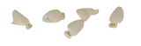 MARK3 | Polycarbonate Crowns 5/pk | P10
