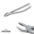 SurgiMac | SurgiMac #35 Extracting Forceps, Stainless Steel, Air Series, 1/Pk | F35XS