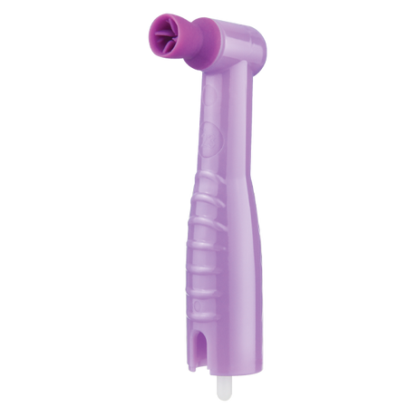 Pac-Dent | ProAngle Ergo disposable Prophy angle firm lavender cup | 188-144
