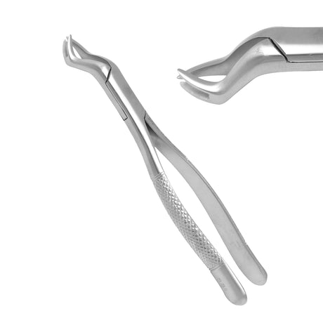 SurgiMac | SurgiMac #88R Universal Extracting Forceps, Stainless Steel, American Pattern, Pro Series, 1/Pk | 12-1752