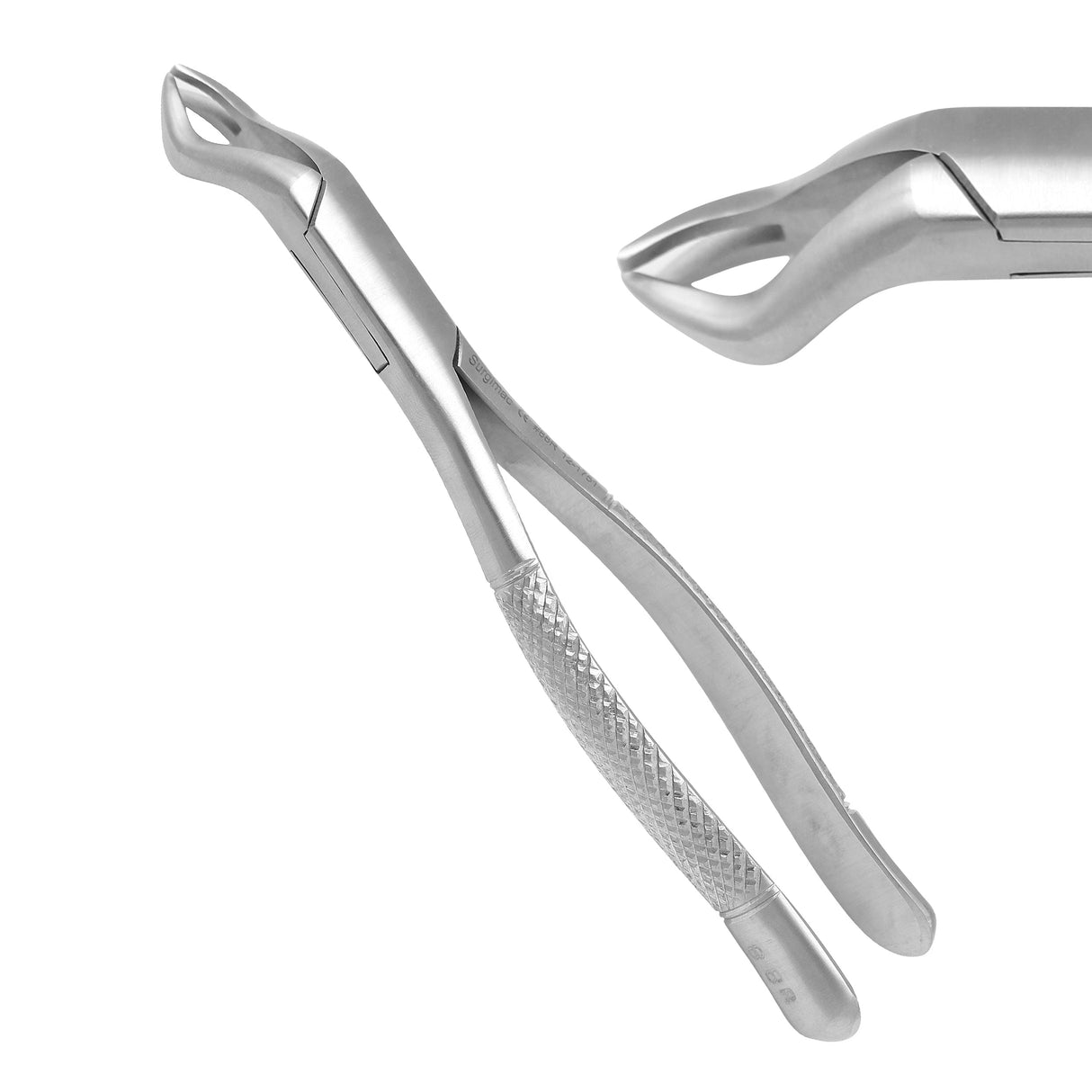 SurgiMac | SurgiMac #88L Universal Extracting Forceps, Stainless Steel, American Pattern, Pro Series, 1/Pk | 12-1751