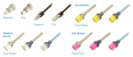 Pac-Dent | Disposable Brush Cups - Premium quality | 240-144